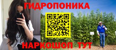 ALPHA PVP Пушкино