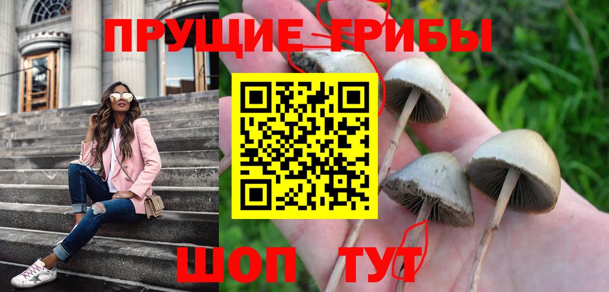 Галлюциногенные грибы Magic Shrooms Сосновоборск