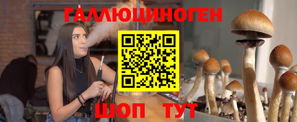 Сосновоборск  Галлюциногенные грибы Magic Shrooms  Вход с VPN 