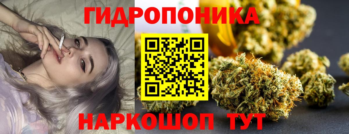 МАРИХУАНА план Сосновоборск